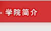 太阳集团简介